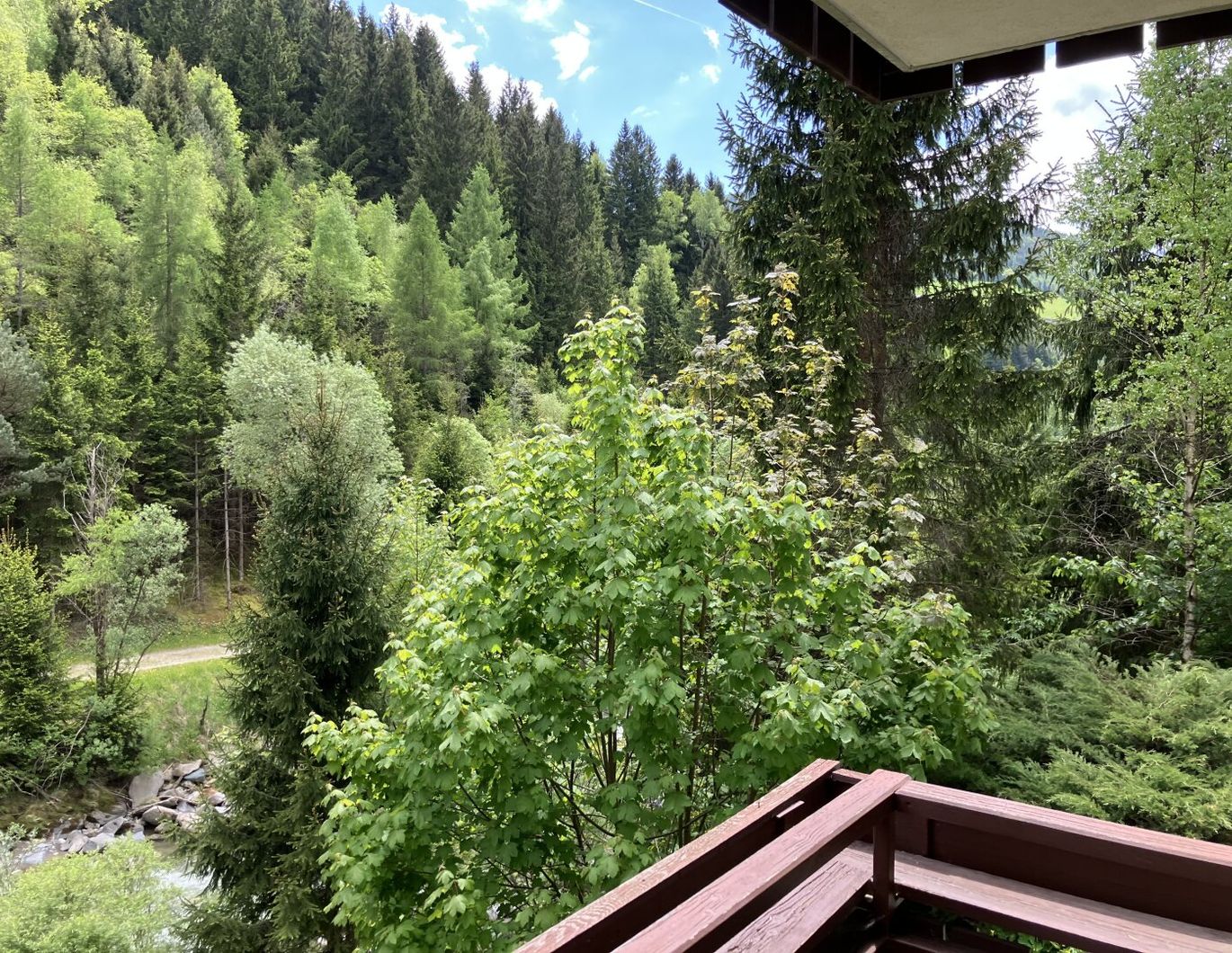 Schöne Wohnung in Eisentratten