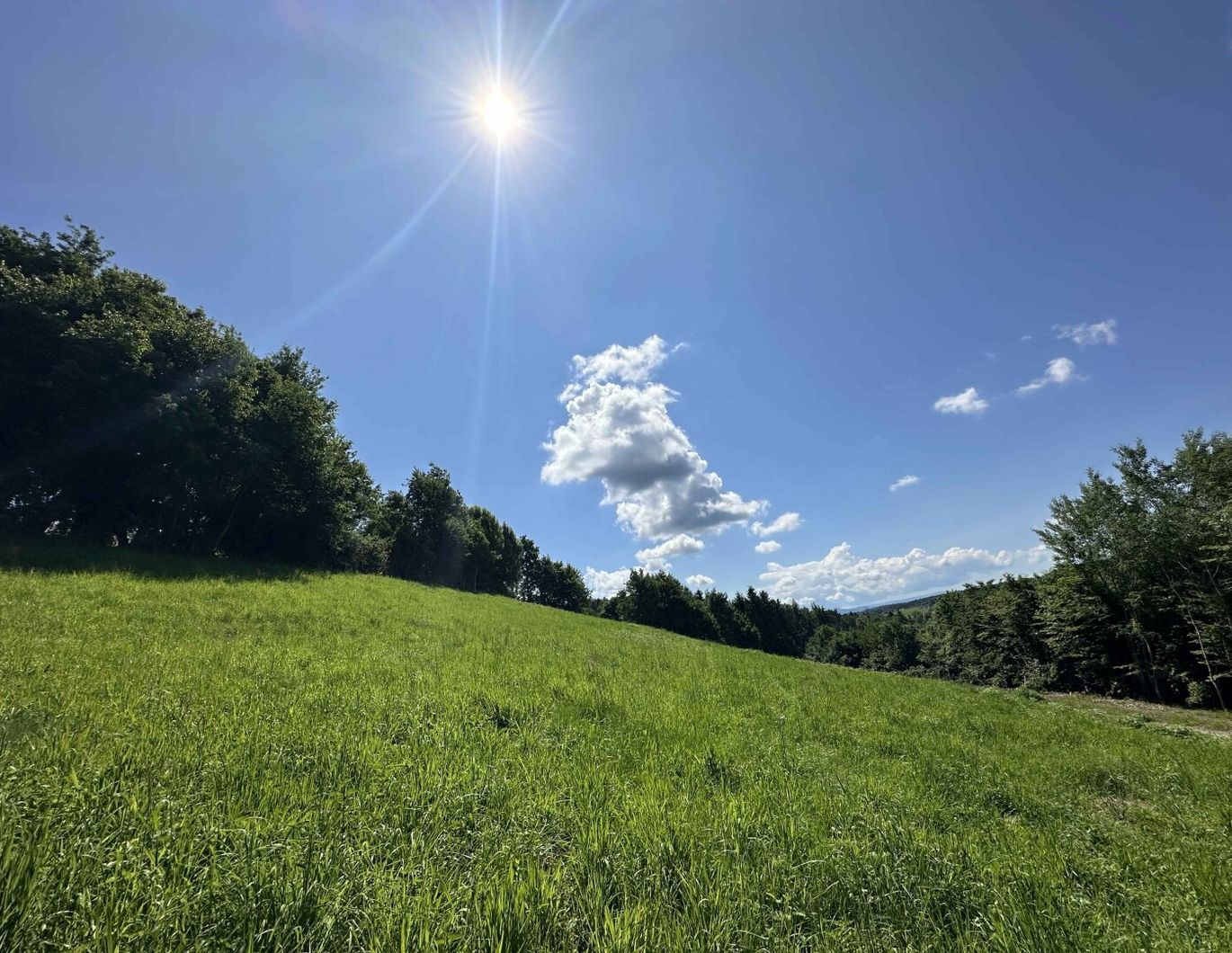 Ideal für große und kleine Bauträger! Tolles Baugrundstück mit beeindruckendem Ausblick nahe des Grazer Stadtrands am Kaiserbergs in Lannach