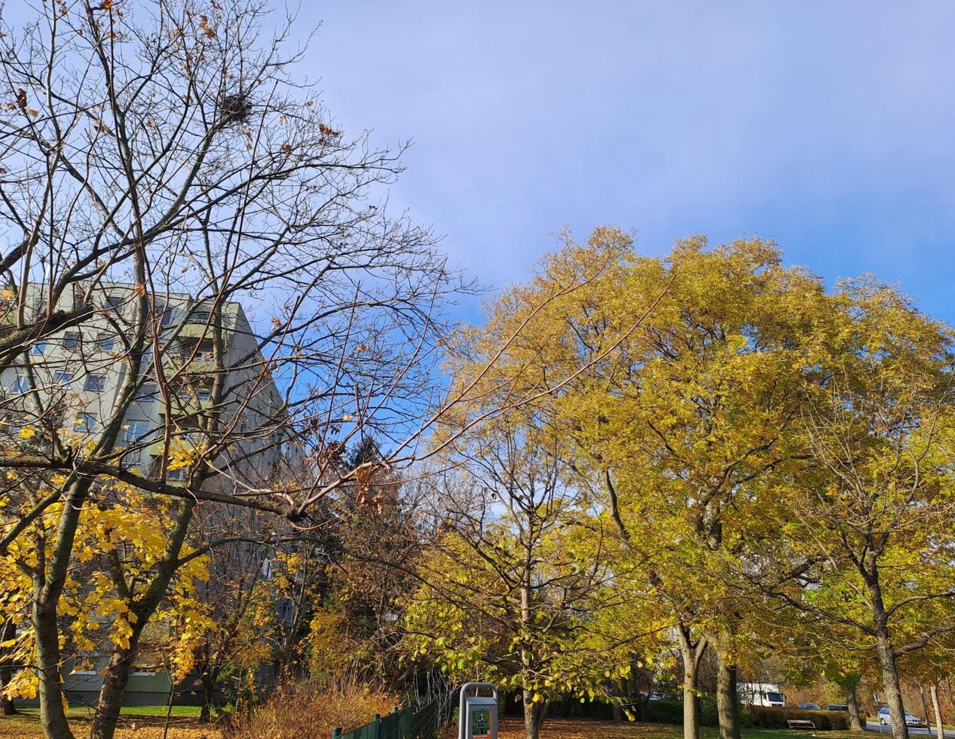 GEPFLEGTE 2-ZIMMER-WOHNUNG MIT LOGGIA & SCHÖNEM AUSBLICK - SEHR GUTE INFRASTRUKTUR