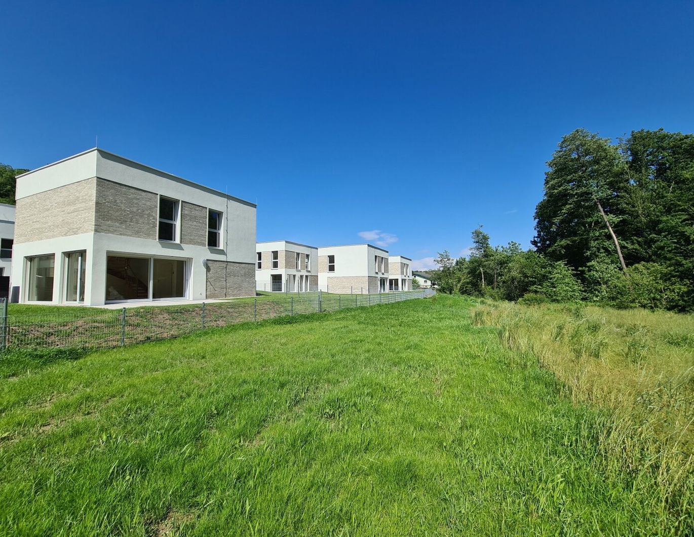 Familienprojekt LIVING WOODS