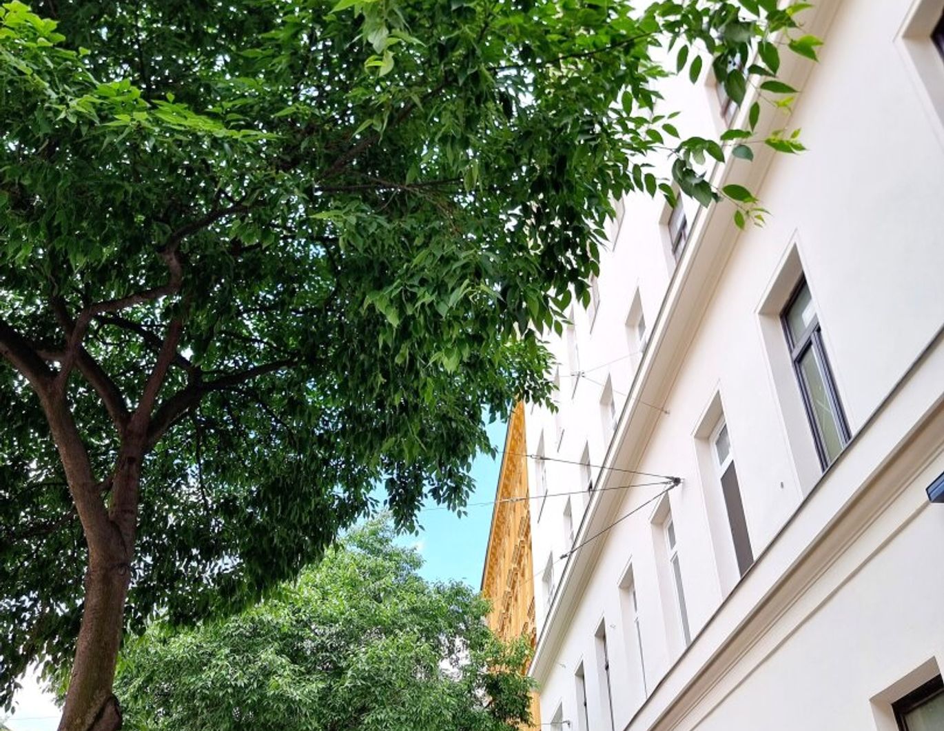 Wer nicht auf schlüsselfertig steht, ist hier richtig! 4-Zimmer Wohnung - Selbst Gestalten! Sanierungsbedürftige Altbauwohnung! U-Bahn ums Eck + Traumhaft renoviertes Altbauhaus + Optimalste Infrastruktur und Anbindung!