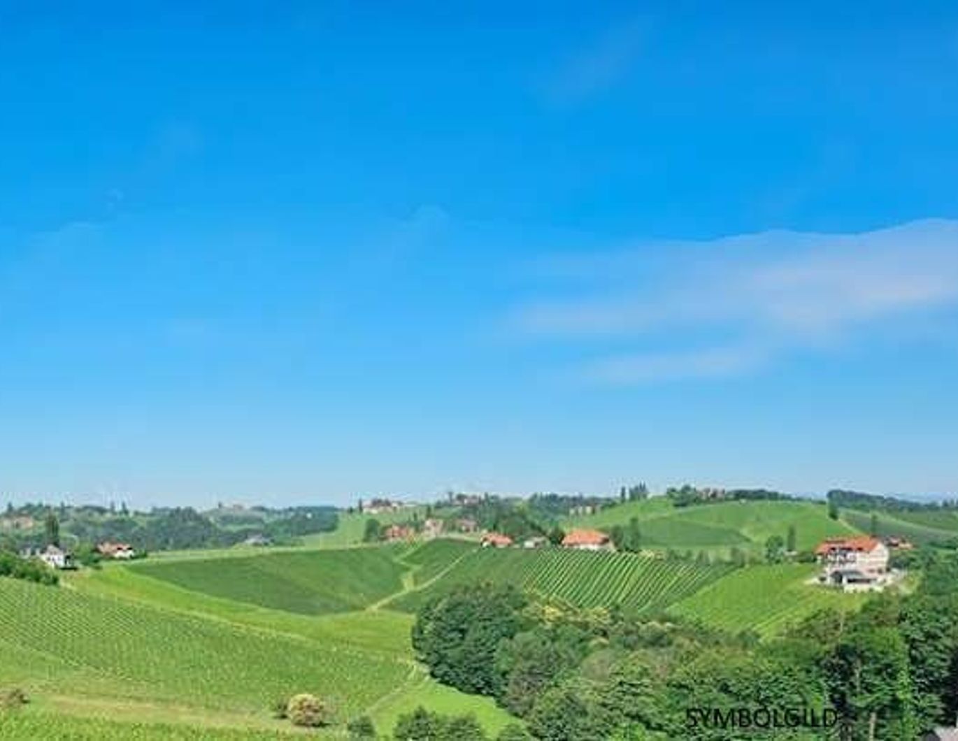 SÜDSTEIERMARK: traumhafte Alleinlage, Rundumblick, Wohnen, Weinbau, Wald, Teich