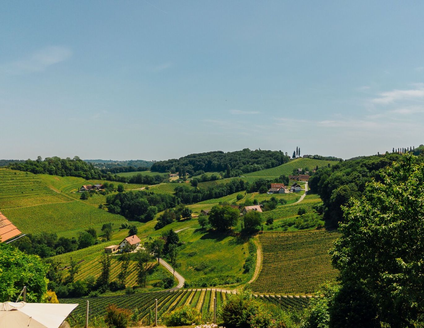 Umgeben von Weinbergen mit traumhaftem Weitblick - Alleinlage in der Südsteiermark!