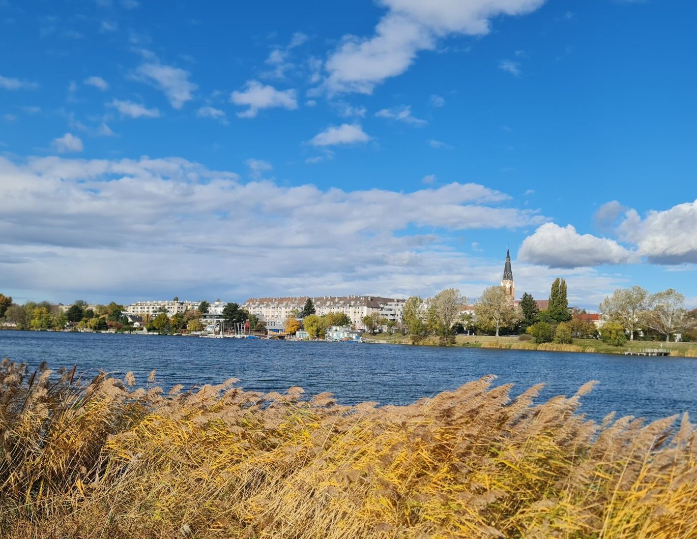 AN DER ALTEN DONAU - Charmantes Einfamilienhaus mit Garten