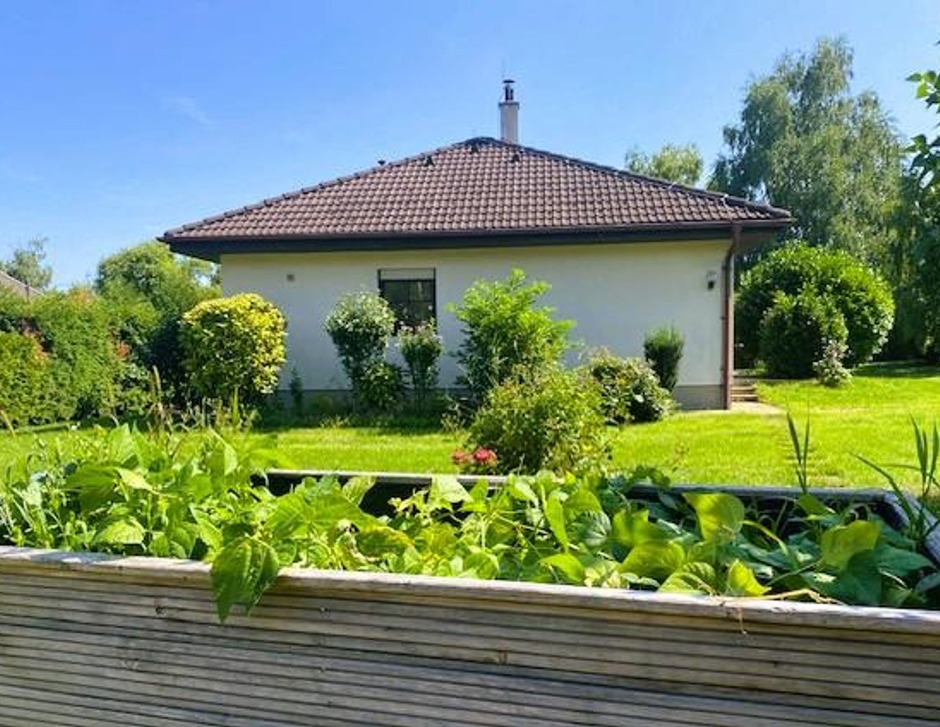 Einziehen und bleiben! Gepflegter Bungalow, traumhafte Grünlage!