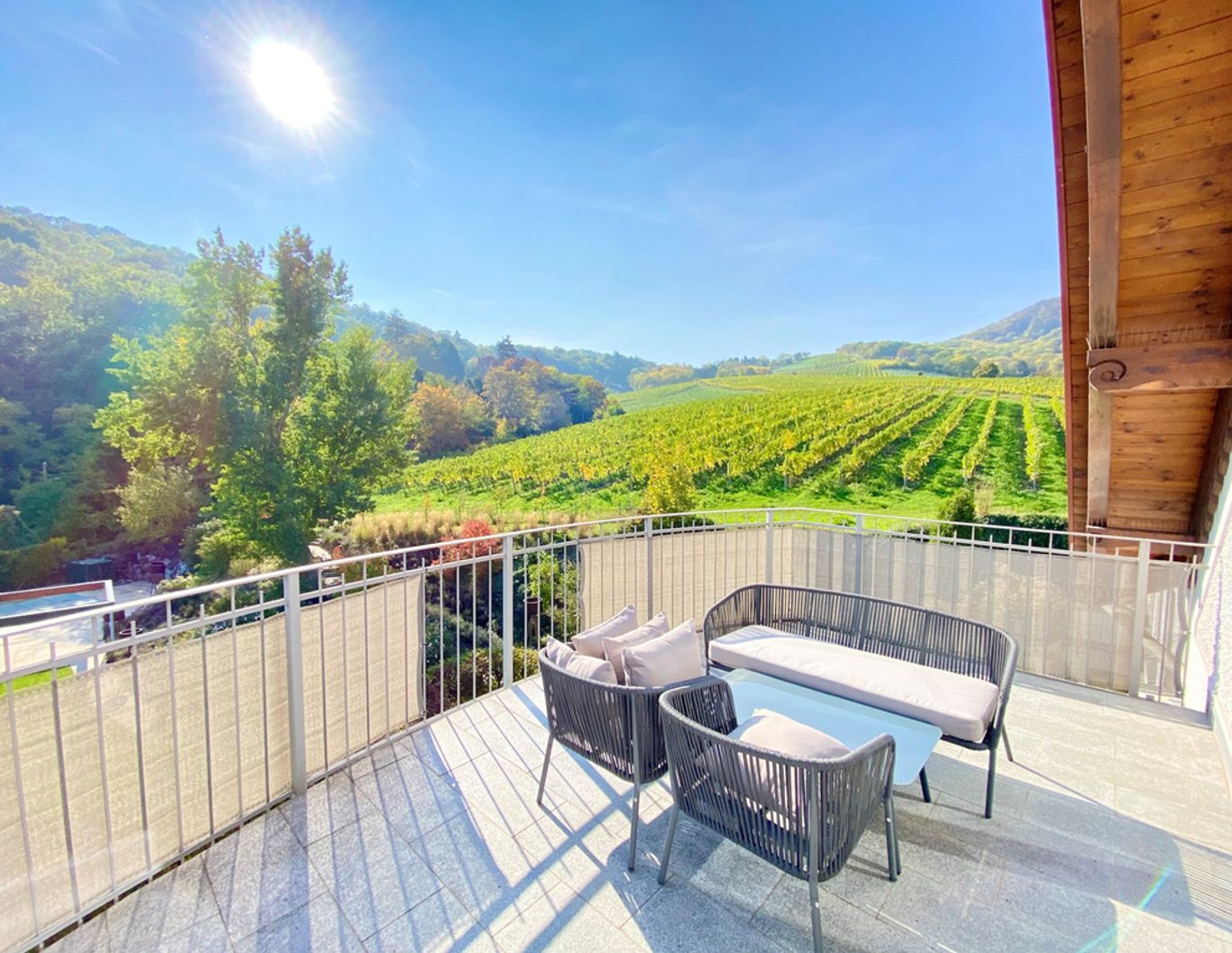 NATUR TRIFFT DESIGN | TOPLAGE | WEINBERGBLICK | EXKLUSIVE, HELLE 4 ZIMMER | TERRASSE