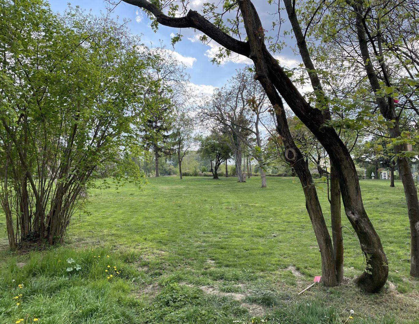 Beautiful and furnished 107 m² 4 room apartment with terracce for rent in 1210 Vienna located directly at the Obere Alte Donau!