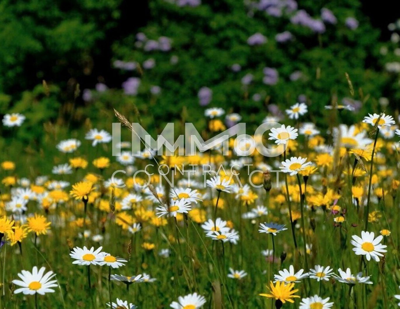 Ruhige 2-Zimmer Wohnung in guter Wohnlage - provisionsfreier Erstbezug!