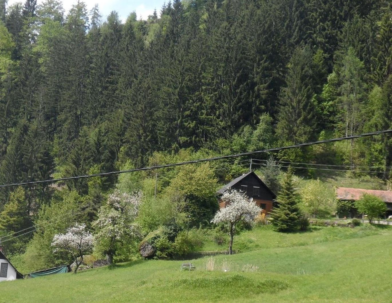 Holzhaus in absoluter Ruhelage mit eigenem Wald, Quellen und Wiesen-/ Nutzflächen - Privatverkauf