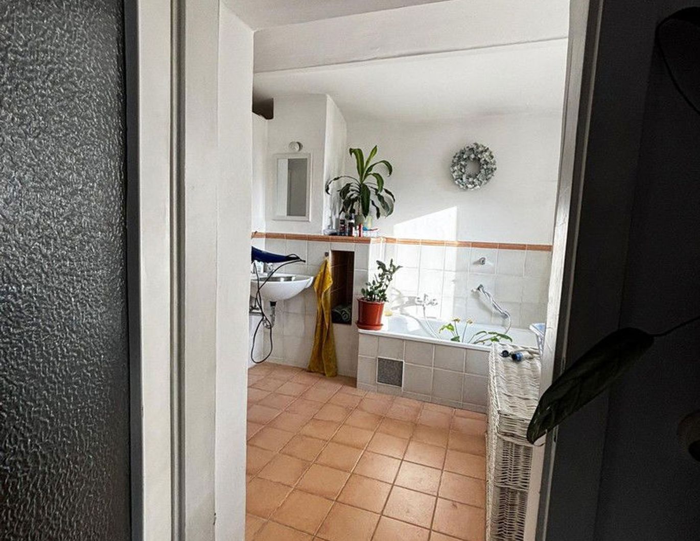 HundefreundlicherIn mitbewohnerIn gesucht :D