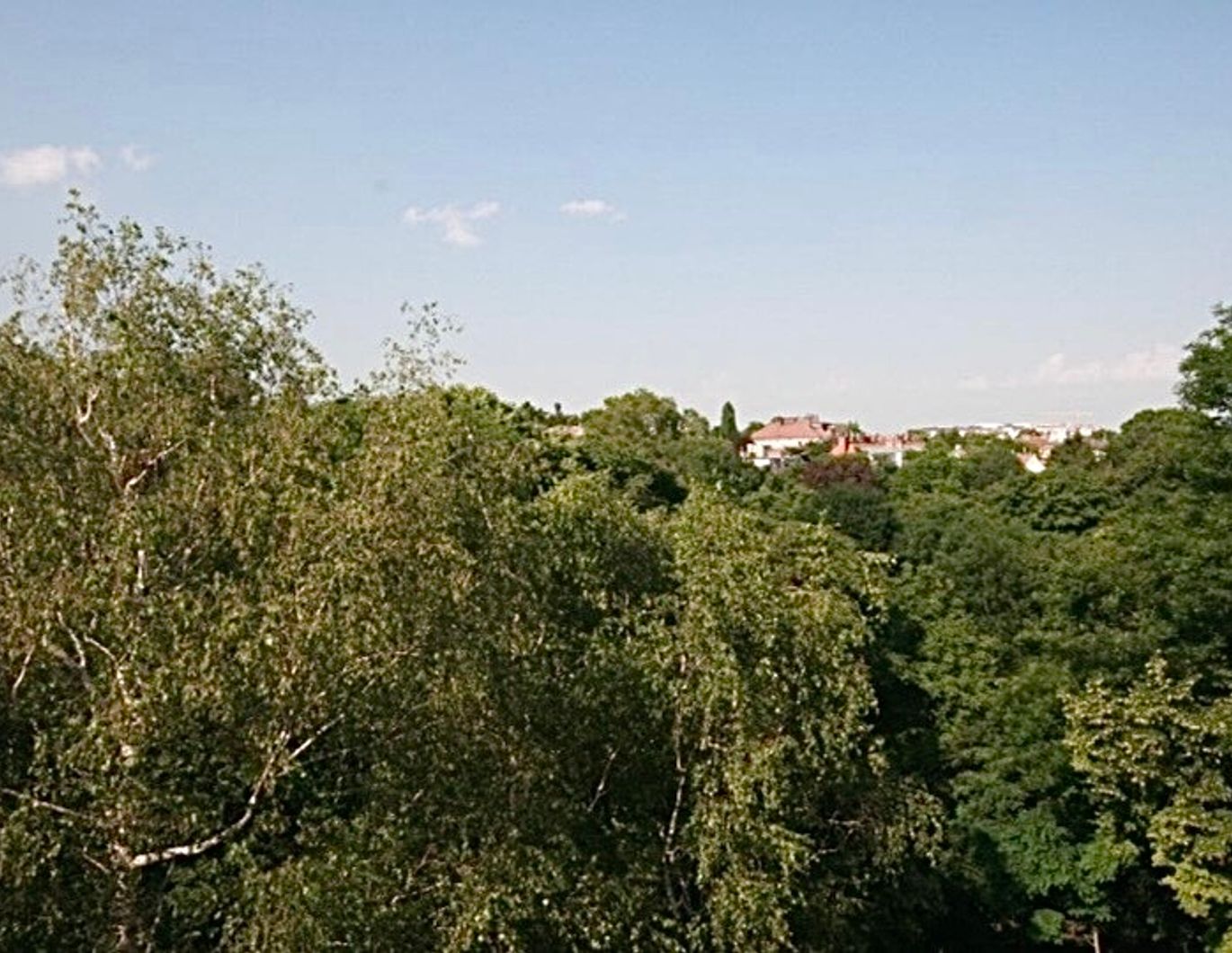 Privat: 3,5-Zimmer-Wohnung in zentraler Döblinger Grünruhelage