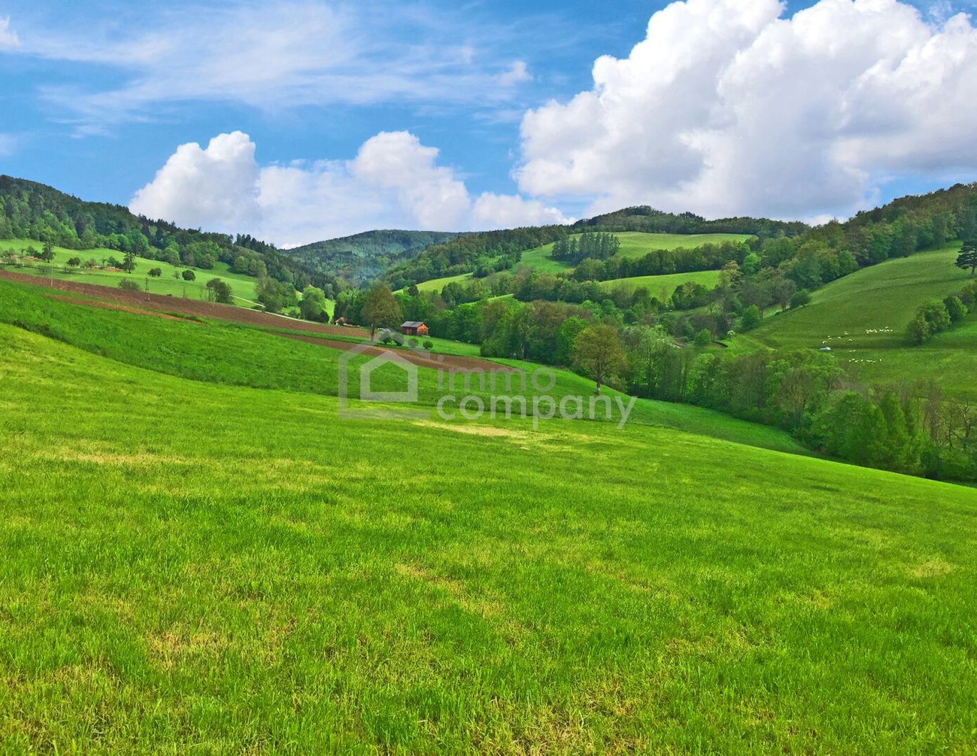 Ihr Traumhaus für nur 439.000 Fixpreis - sofort beziebar - Neubaustandard !!!