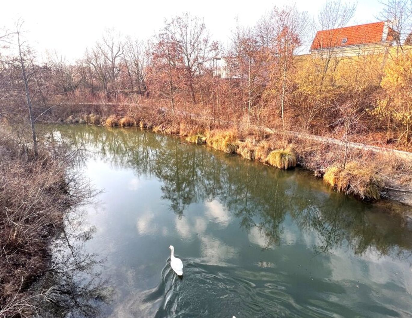 Natur und Erholung in unmittelbarer Nähe! 4-Zimmer-Wohnung mit Loggia