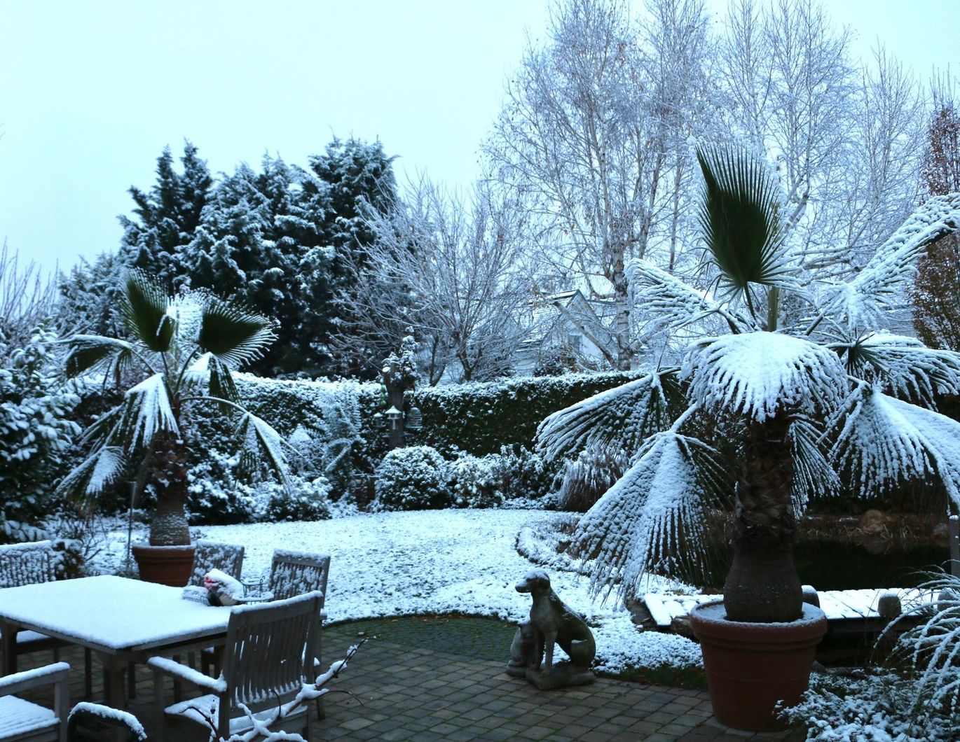 PROVISIONSFREI direkt vom Eigentümer: vollklimatisiertes Haus mit Lift, uneinsehbarem Garten, Schwimmteich (Provisionsfrei)