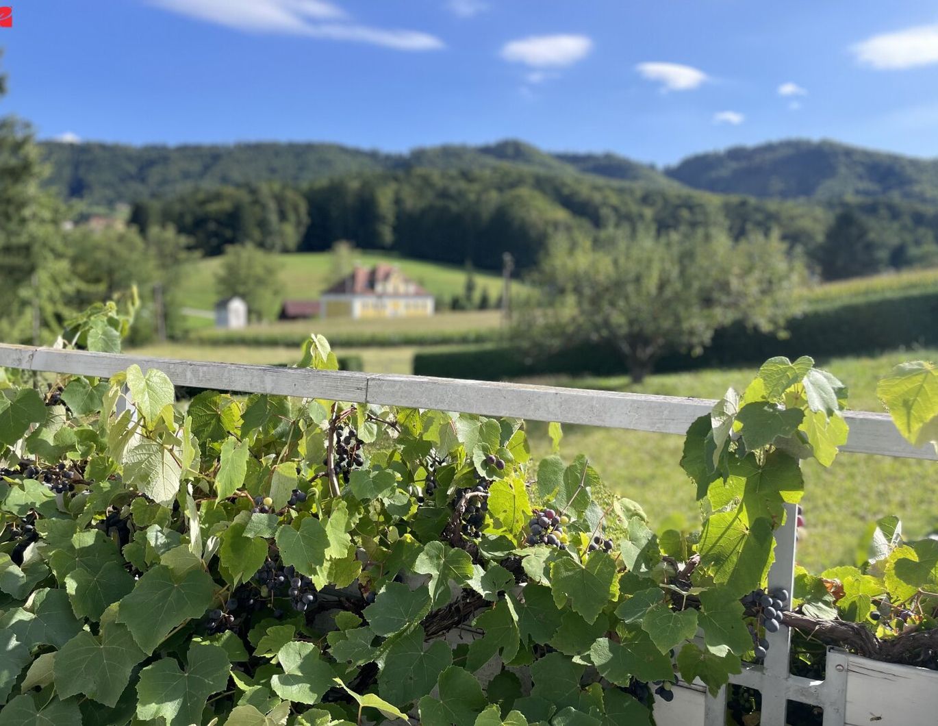 NUR 20 Minuten nach Leibnitz!