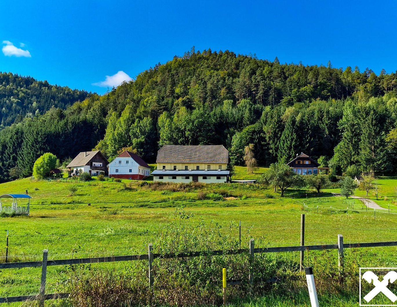 Ein Pferdeparadies der Extraklasse! Arrondierte Landwirtschaft mit Reitanlage und hohem Wohnkomfort