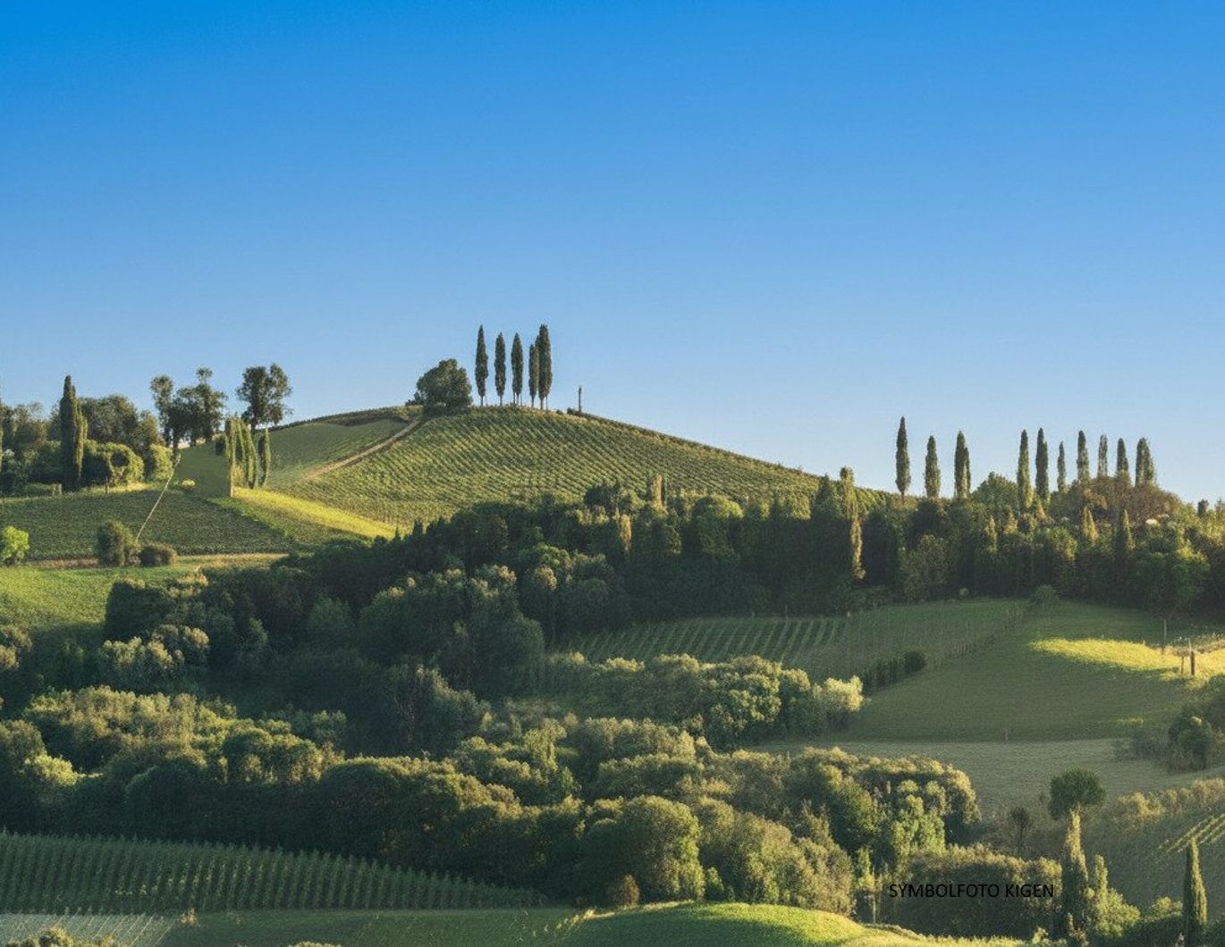 Atemberaubender Rundumblick, malerische Alleinlage, Wohnen, Weinbau, Wald, Teich - SÜDSTEIERMARK