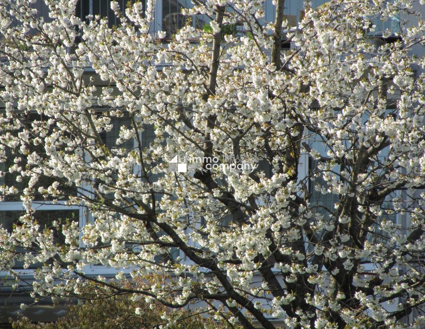 Schöne und große Wohnung. - Sonnig, tolle Aussicht !