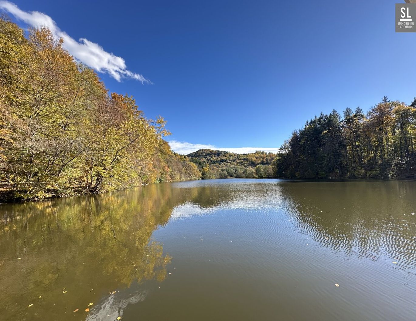 Großer Pool - PV Anlage - schöne Gartenanlage - DER besondere Bungalow in der Nähe vom Thalersee im Grazer Naherholungsgebiet