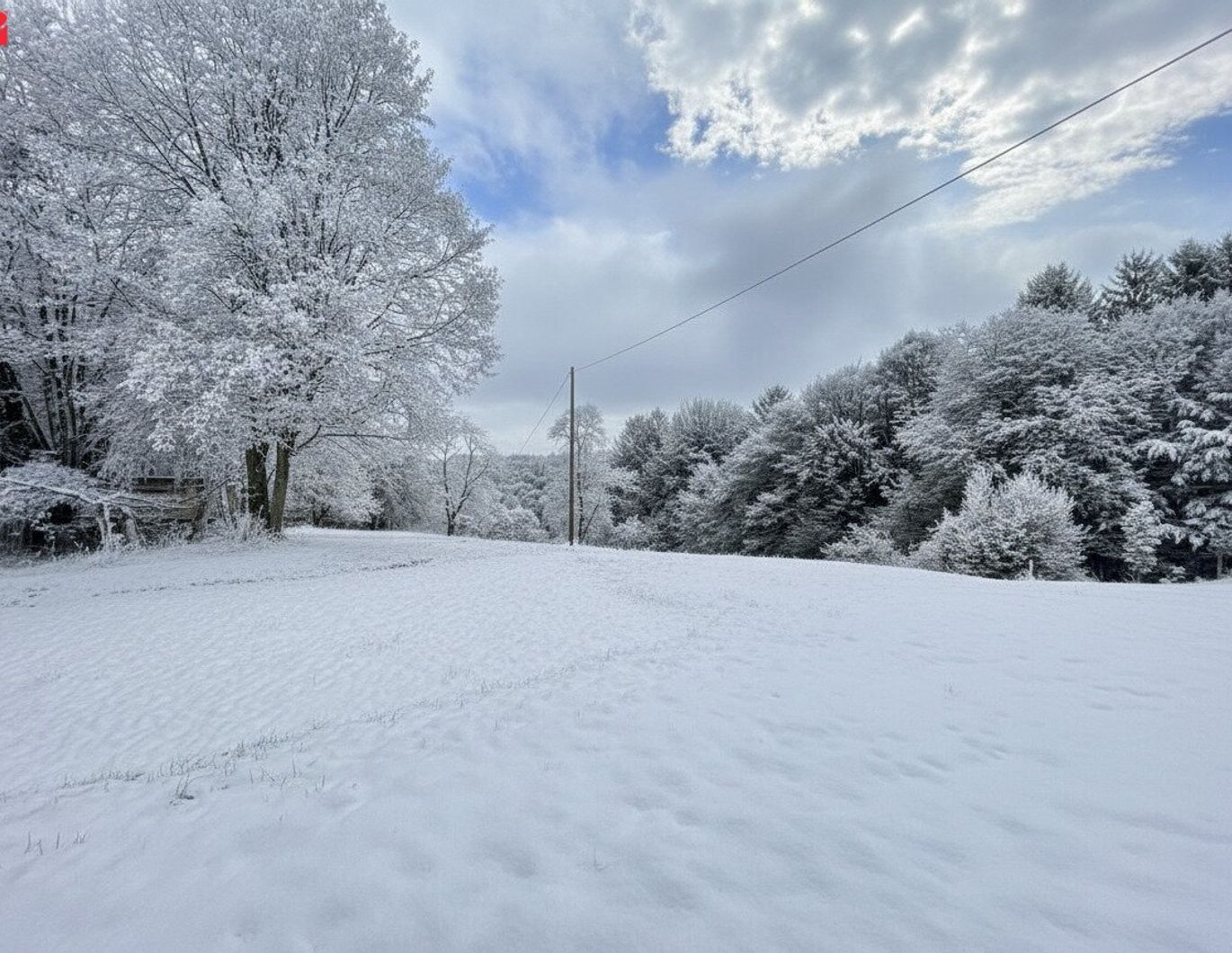 Idyllisches Holzhaus mit großzügigem Grundstück