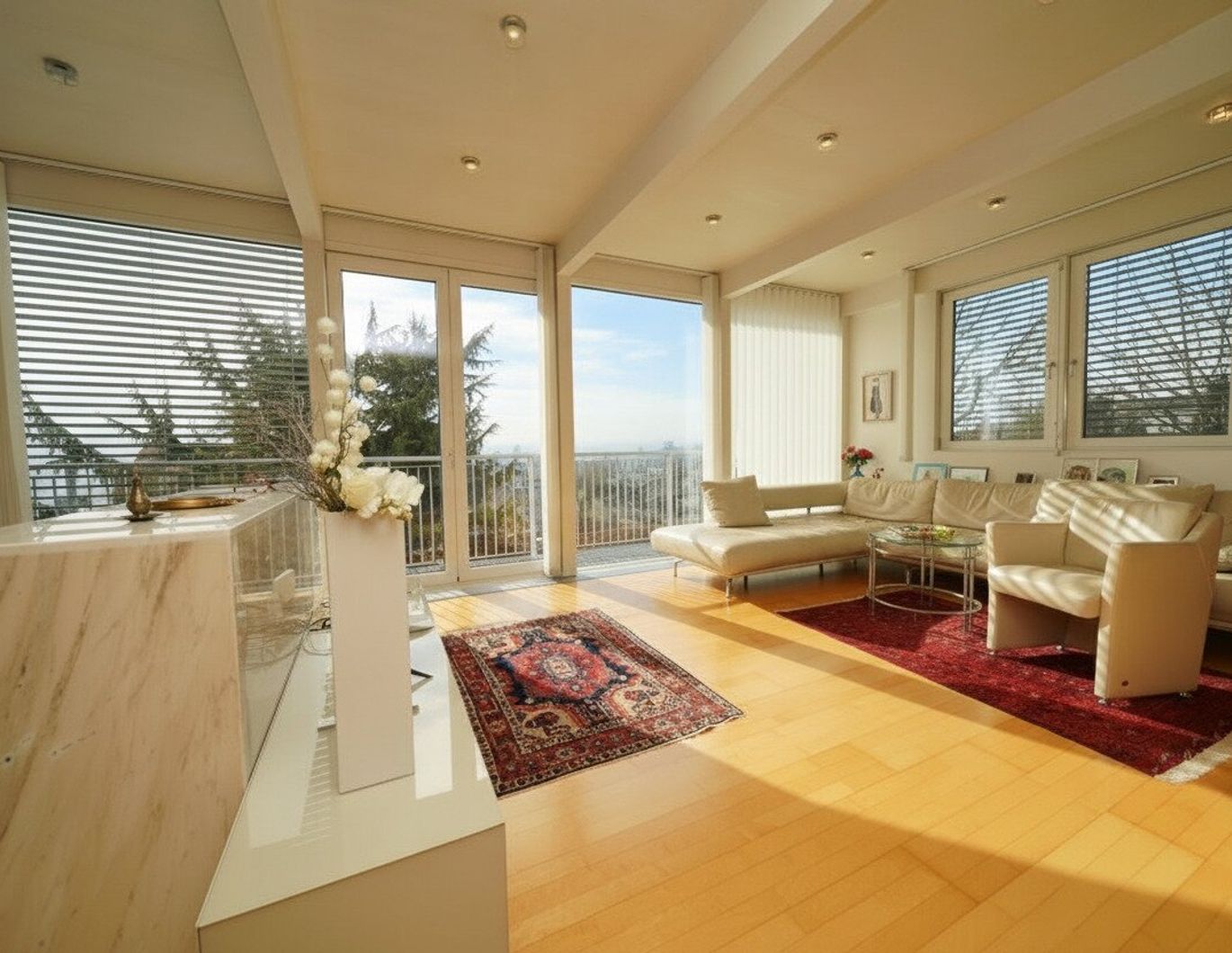 Raum zum Leben in Linzer Bestlage