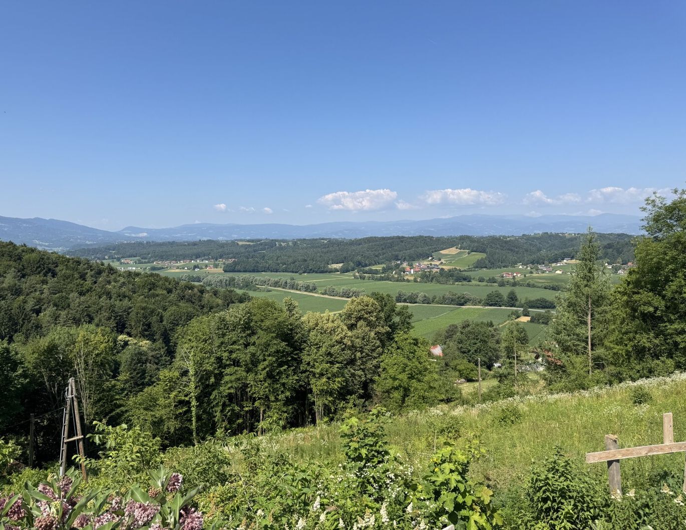Exklusives Chalet in St. Johann i. Saggautal-Eichberg - Traumlage mit Infinity-Pool und Panoramablick, Neubau
