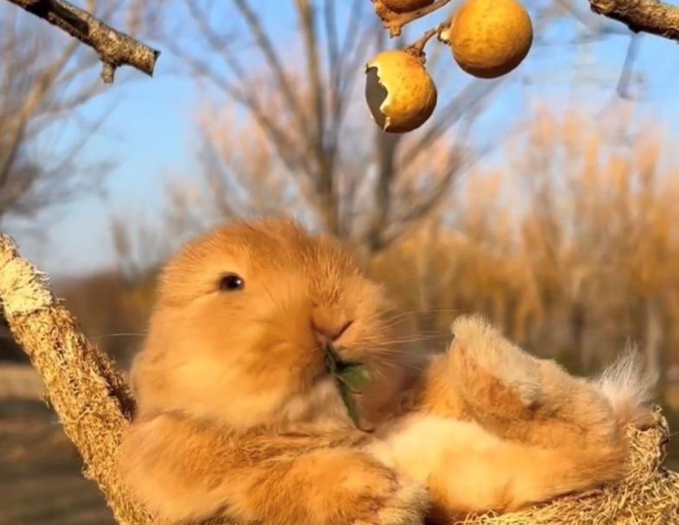 Ostern am Wörthersee: Kurzzeitmiete April und Mai 2026