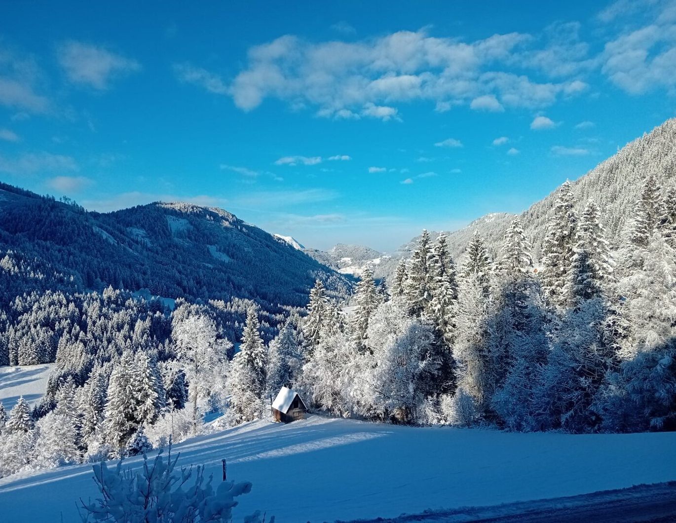 Ihr persönliches Refugium: Gemütliches Wohnhaus mit Wellness-Highlights, Remise, Wald und atemberaubendem Bergblick