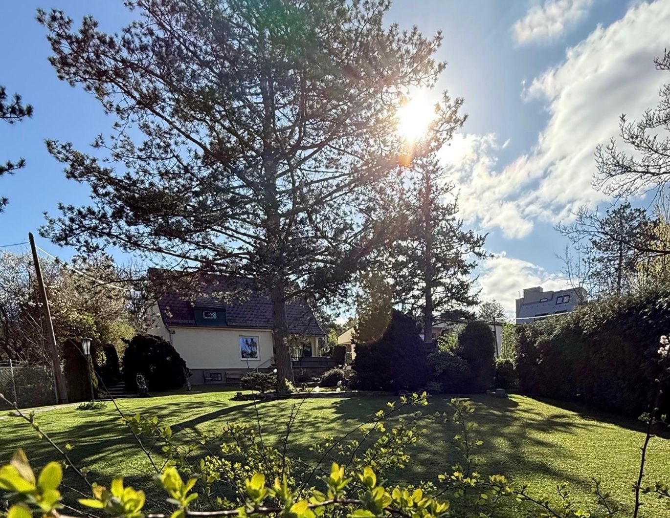 Wohnen im Grünen - Hackenberg