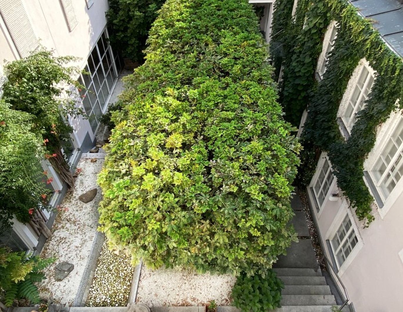 Herrschaftliches Anwesen bei der Mariahilfer Straße