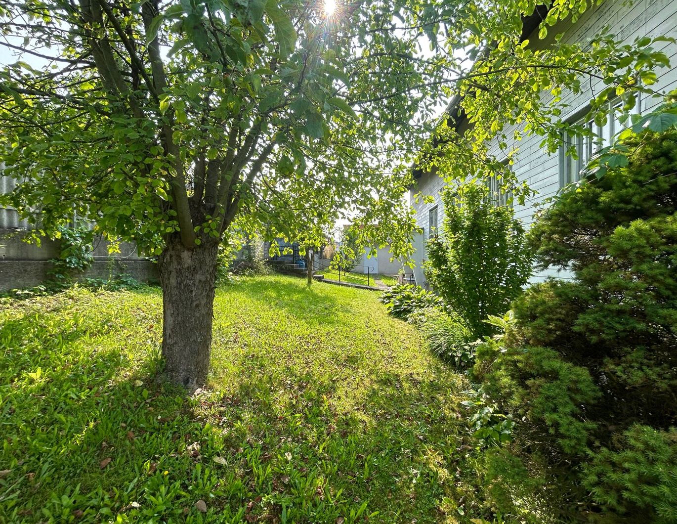 Charmantes Einfamilienhaus in Straßham: Terrasse mit Grünblick und viel Platz für Ihre Familie!