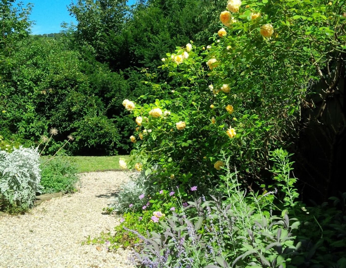 Elegantes Cottage in Klosterneuburg Exklusives Wohnen bei Wien