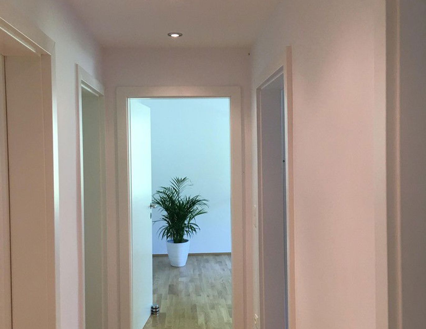 60 m2 von Privat, gartenseitige Ruhelage Pötzleinsdorfer Schlosspark