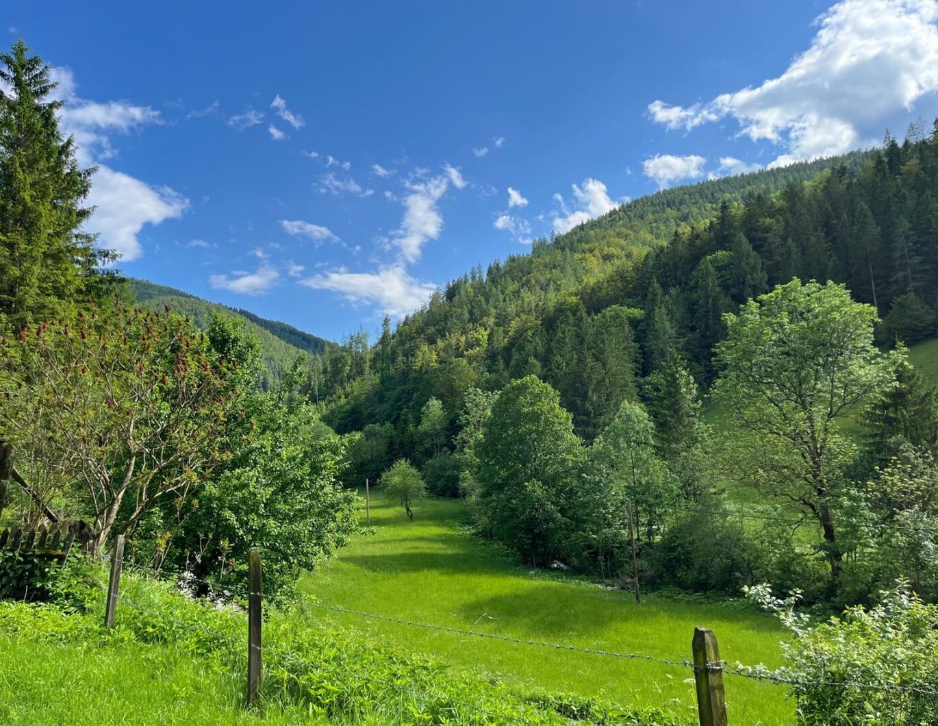 Paradies in Nähe zu Graz - Wunderbarer Besitz in Großstübing
