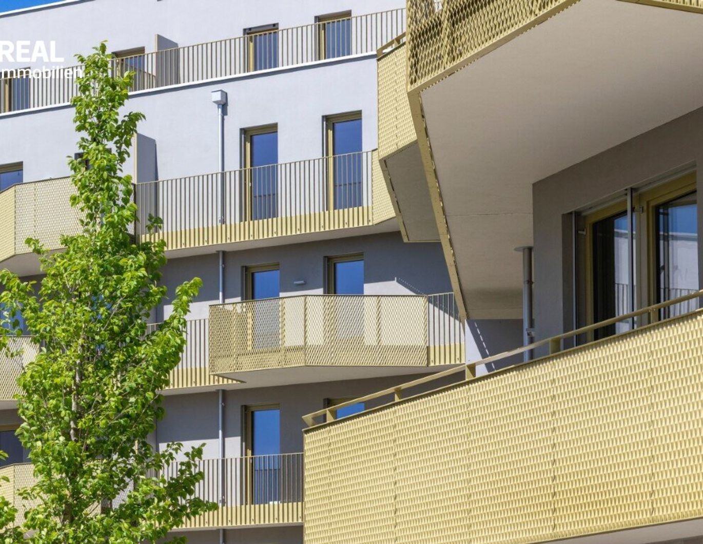 Hirschfeld - Ihr neues Zuhause im Grünen - besichtigen und einziehen
