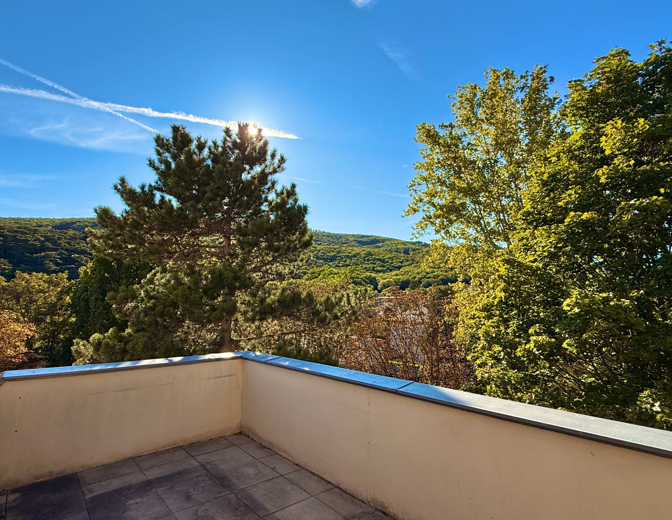 Aktion: Provisionsfrei! Dachterrasse mit Grünblick I ca. 2.000 m² Gartenfläche zur Mitbenutzung I barrierefrei I ca. 3,20m Raumhöhe I