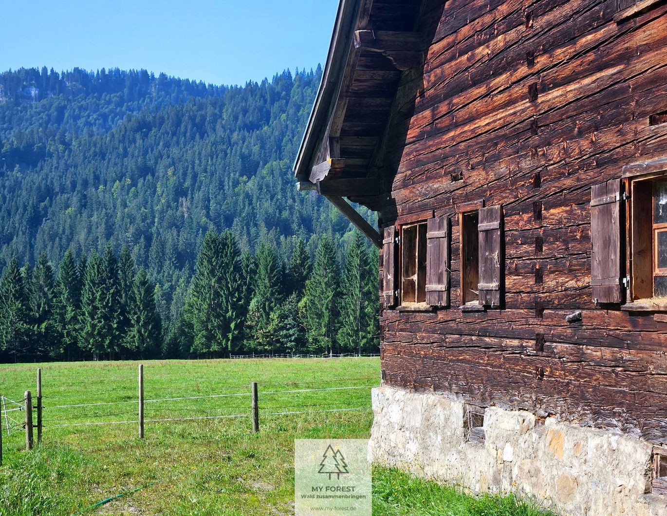 Naturjuwel in den Allgäuer Alpen - anerkannte Alpe mit Wald- und Weideflächen auf 198 Hektar!