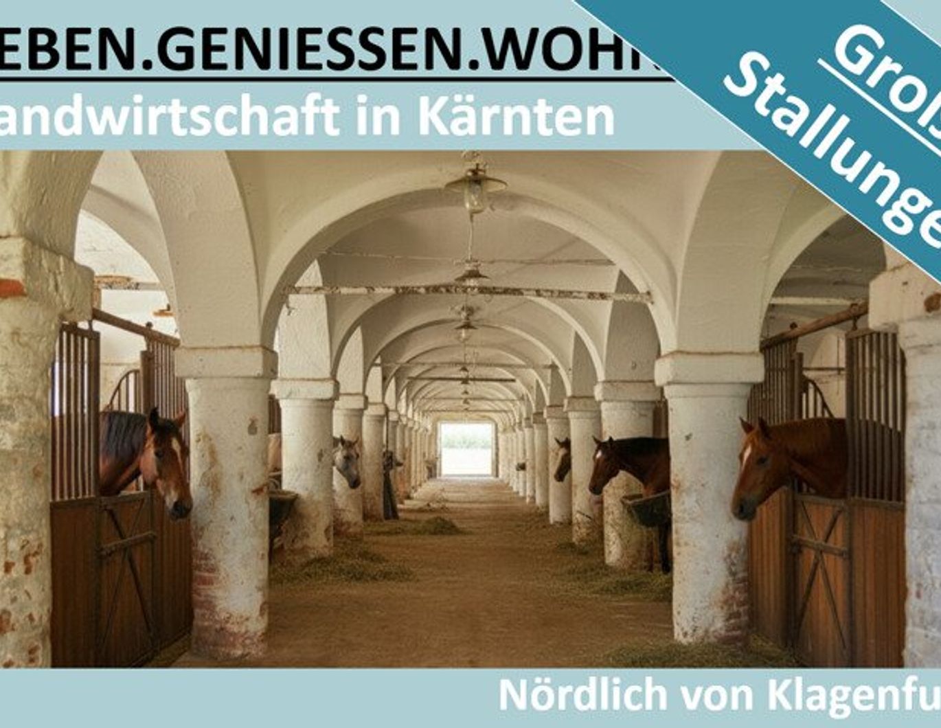 LANDWIRTSCHAFT IN KÄRNTEN MIT GROSSEN STALLUNGEN