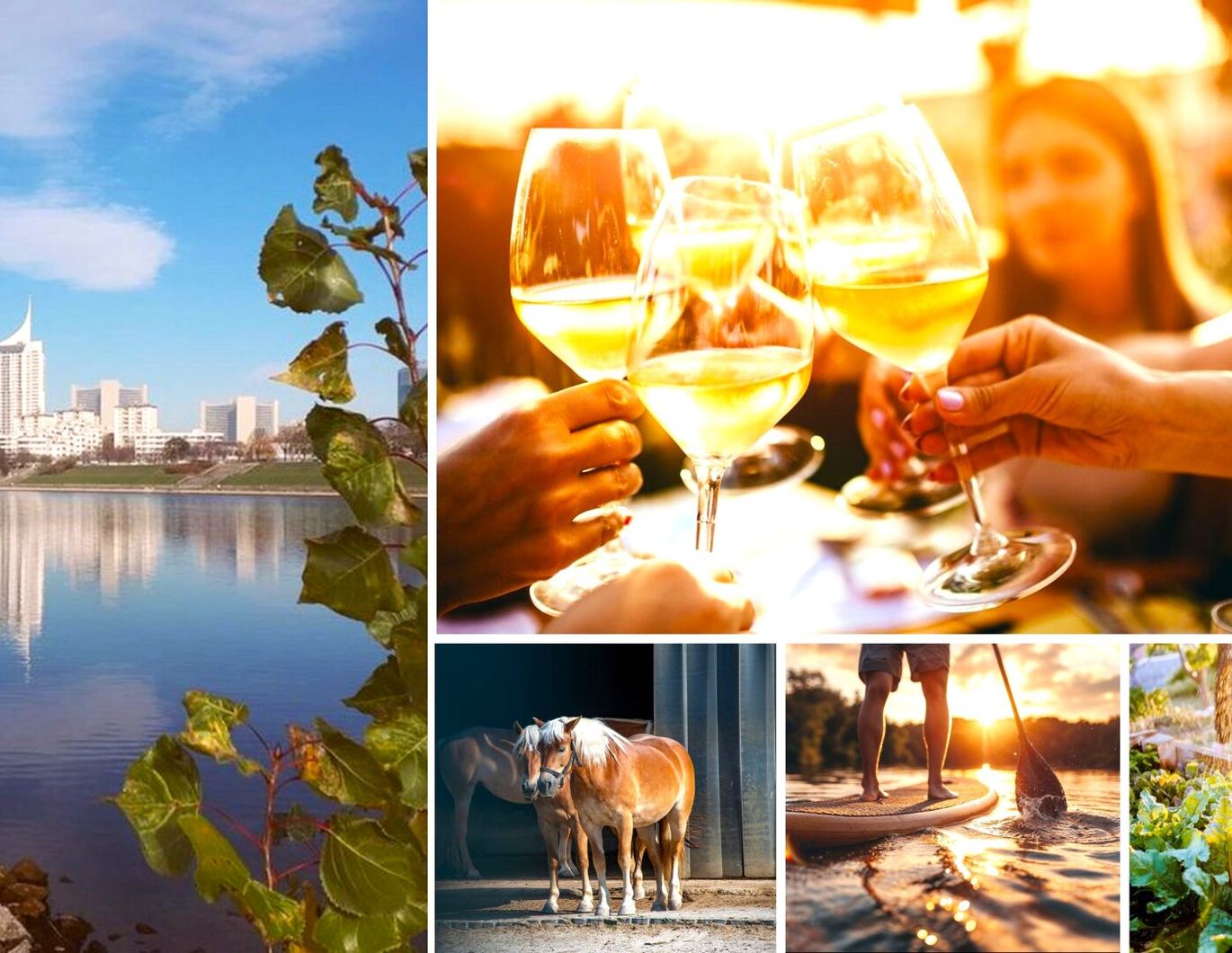 Von der Abendsonne geküsst! Viel Ruhe, Grün und TOP-Qualität! Early Bird nutzen! 2 Zimmer + Balkon + Hochwertige Ausstattung + Ideale Infrastruktur + Garage + Ein neues Lebebsgefühl!