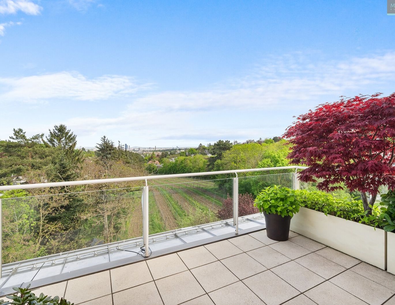 Traumhafte Terrassenwohnung in nobler Grünruhelage direkt beim Weingarten