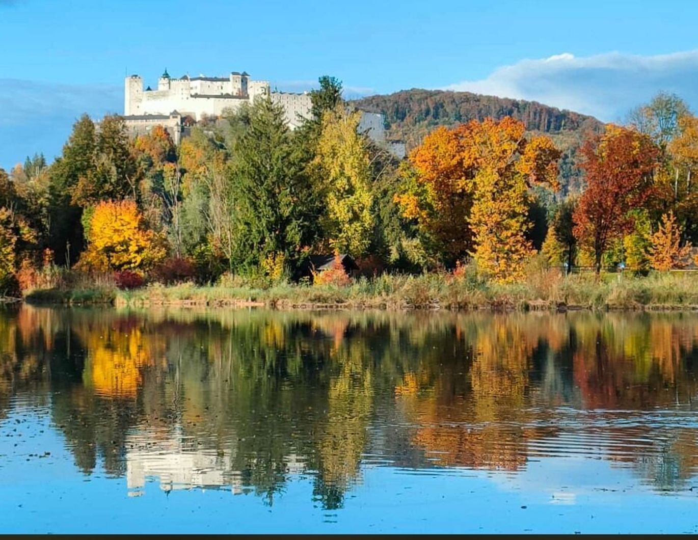Charmante 2-Zimmer-Gartenwohnung in traumhafter Lage am Leopoldskronweiher