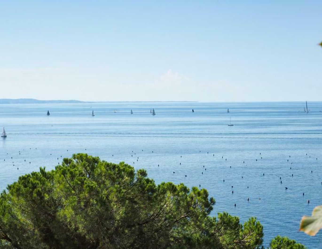 Italien - Costiera: Traumhafte Villa mit Meerblick und Pool nahe Triest | Italy - Costiera: Fantastic villa with sea view and pool close to Trieste