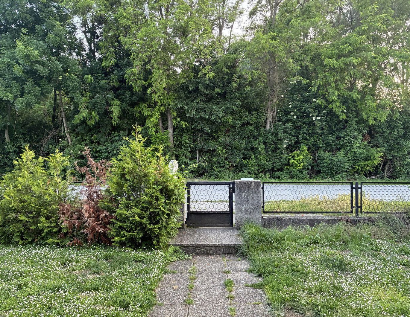 Naturschutzgebiet (Lobautunnel ab 2026)
