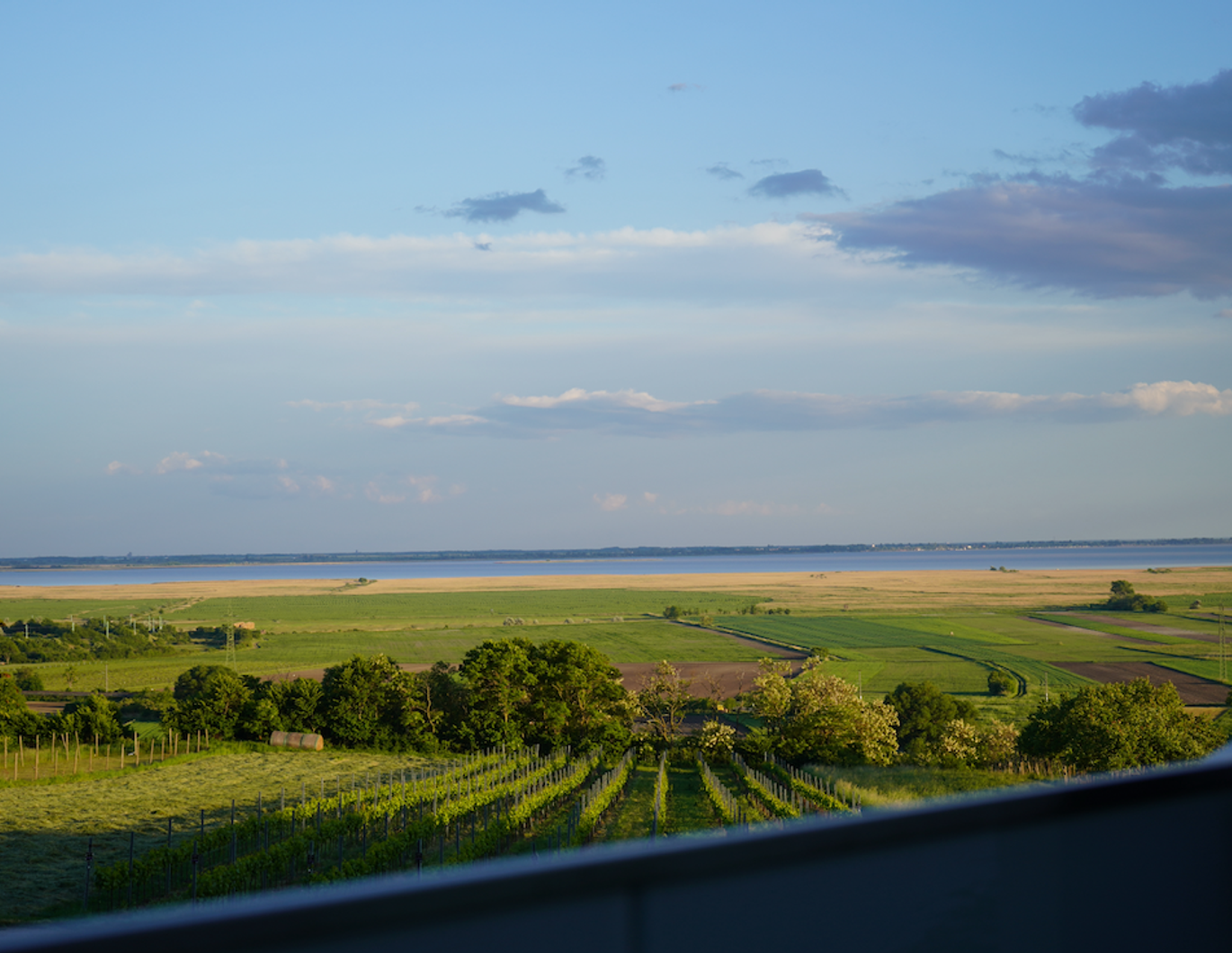Dachgeschosswohnung mit Blick auf den Neusiedlersee + Weingärten