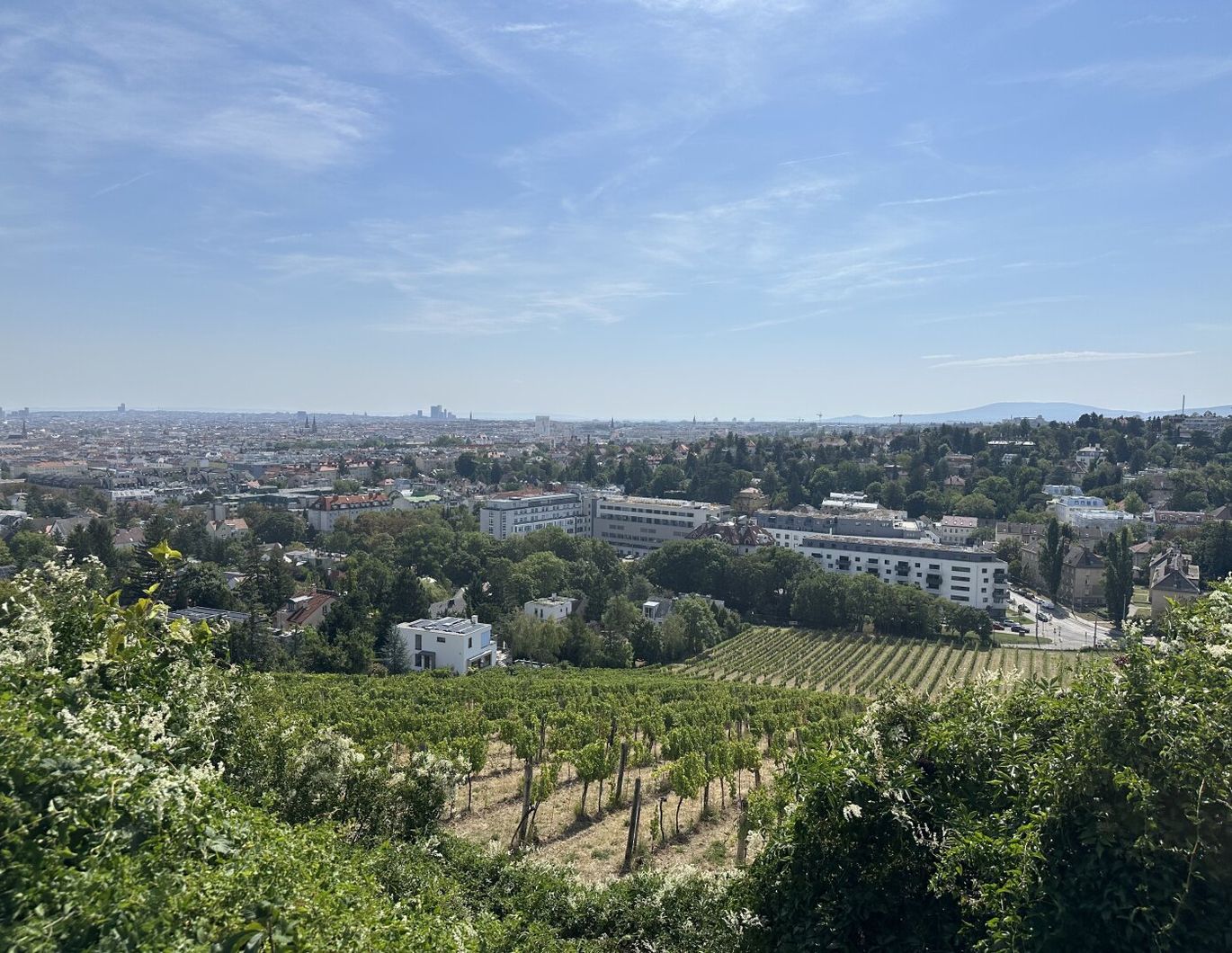 Wohnen im Grünen & doch stadtnah - Ihr neues Zuhause in Hernals