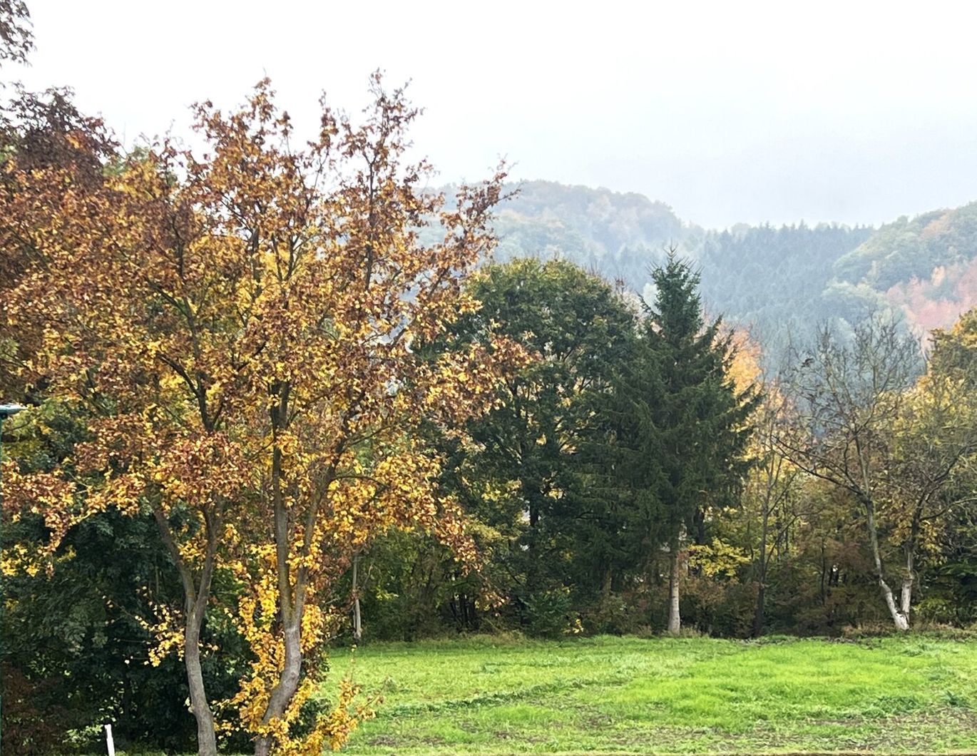 WOHNEN AM WIENERWALD - CHARMANTES EINFAMILIENHAUS