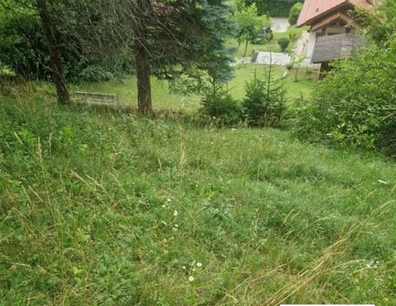 Ihre Liegenschaft mit soviel Wald! Errichten Sie hier Ihr Traumhaus!