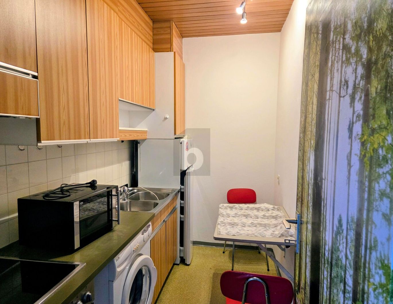 GEMÜTLICHE SINGLE WOHNUNG MIT PARKPLATZ IN ANDRITZ