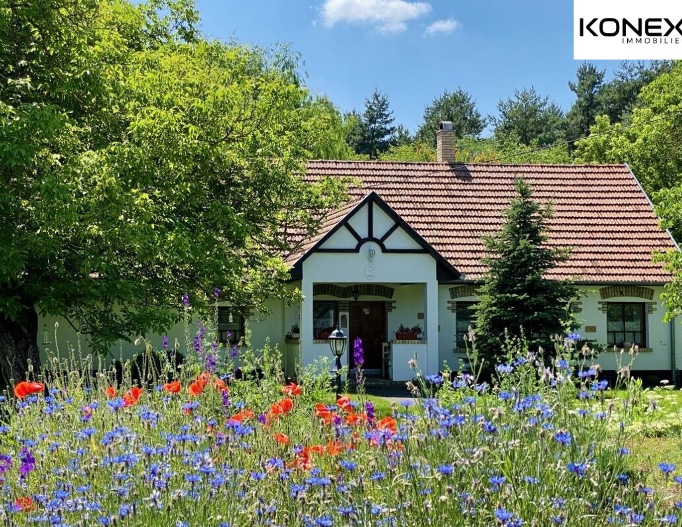 Wunderschön renoviertes Bauernhaus mit 2 Wohneinheiten in Bugac (Ungarn) - Ruhelage, 19.800 m² Grundstück