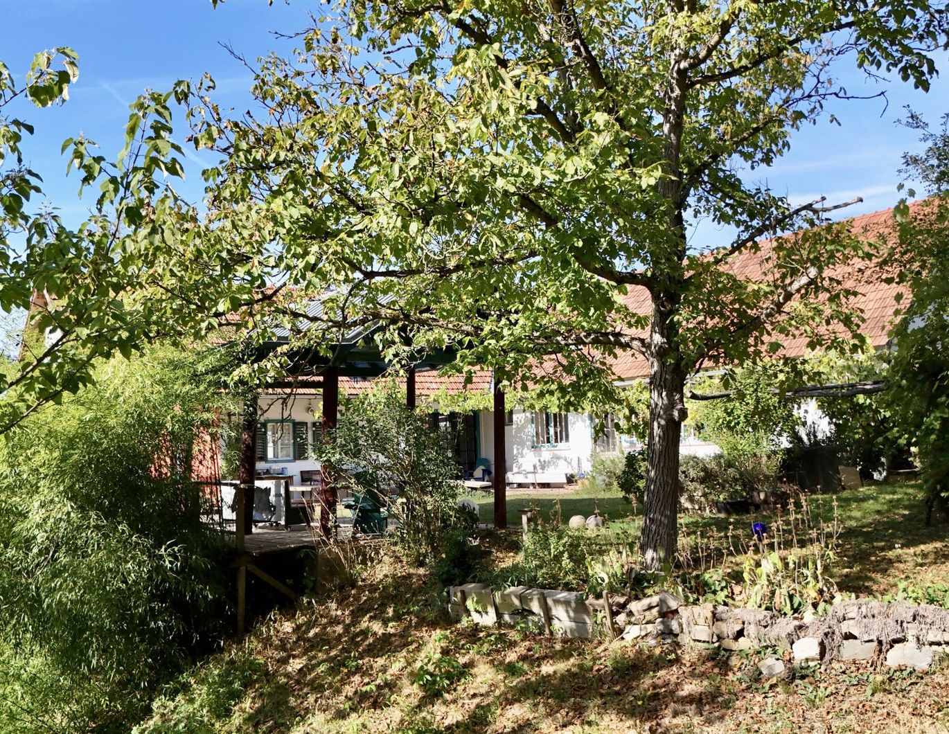 Einzigartiges Anwesen im Südburgenland - 5 ha | Skulpturenpark | ca. 2.000 mᒾ Naturteich